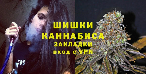 PSILOCYBIN Арсеньев