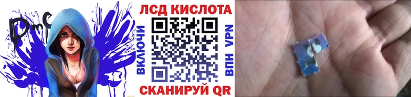 дарнет шоп  Мытищи  Наркотические марки 1500мкг 